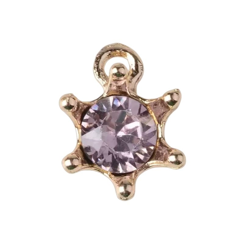 10pcs Diamond Star Accessories